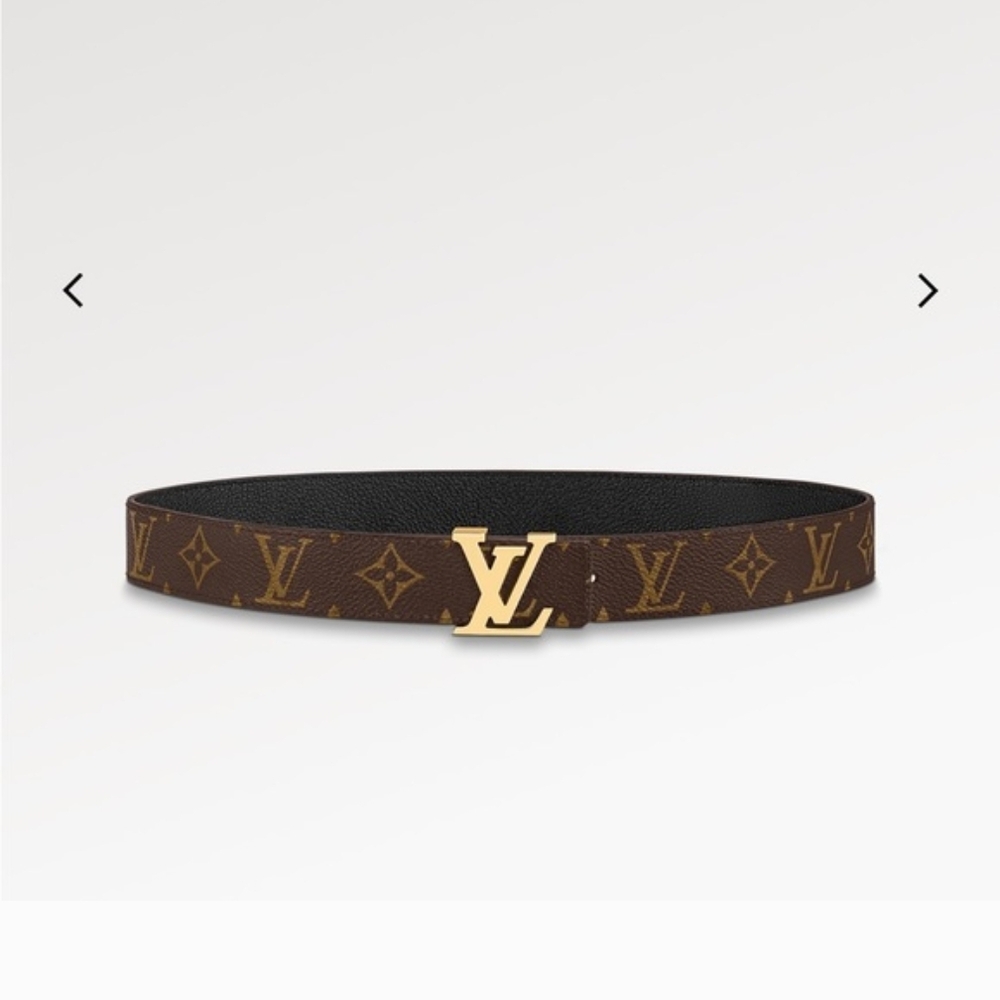 Louis Vuitton Brown Monogram Belt with Gold Buckle